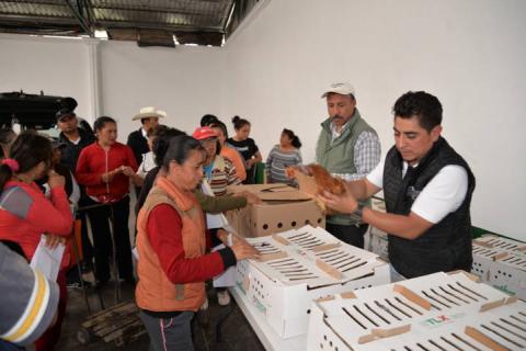 Entrega alcalde de Nanacamilpa 24 paquetes del PAEF imagen 2