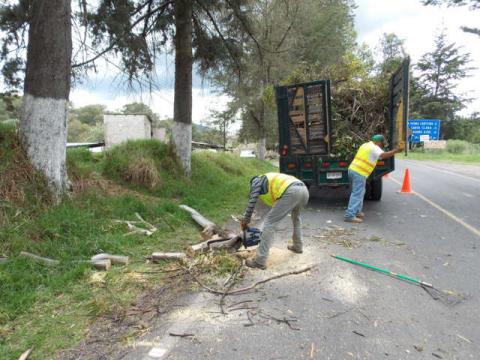 Realiza Ayto. de Nanacamilpa poda de árboles para prevenir accidentes en acceso principal imagen 3