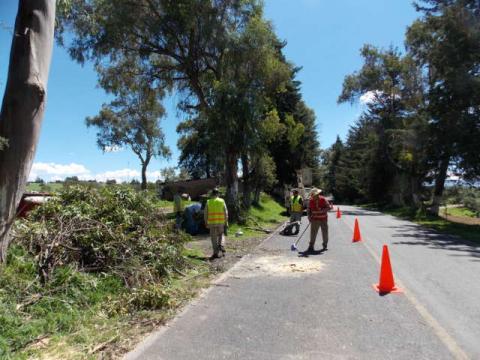 Realiza Ayto. de Nanacamilpa poda de árboles para prevenir accidentes en acceso principal imagen 2