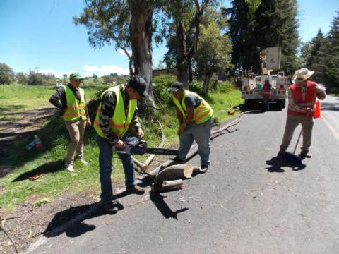 Realiza Ayto. de Nanacamilpa poda de árboles para prevenir accidentes en acceso principal imagen 1