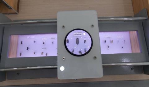 Visitan turistas nacionales y extranjeros el Museo de la Luciérnaga imagen 4