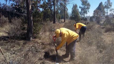 Controlan incendios en Cerro de San Andrés y poblado de Zautla imagen 1