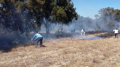 Controlan incendios en Cerro de San Andrés y poblado de Zautla imagen 2