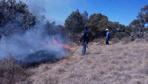 Controlan incendios en Cerro de San Andrés y poblado de Zautla imagen 3