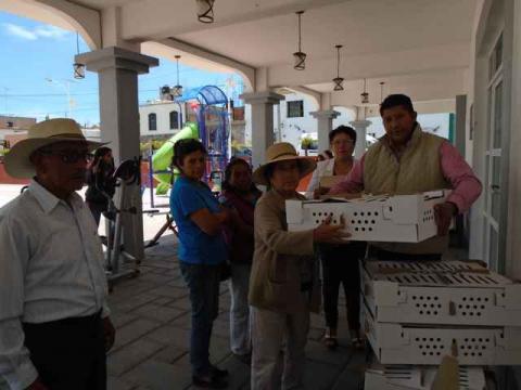 Entregan en Tzompantepec paquetes con animales de traspatio imagen 1