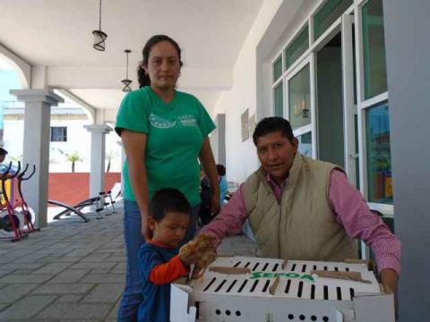 Entregan en Tzompantepec paquetes con animales de traspatio imagen 2