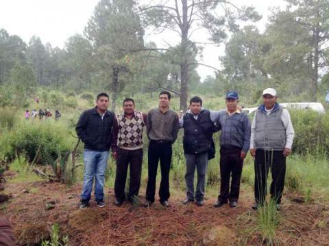 Participa Tetlanohcan en campaña de reforestación imagen 2