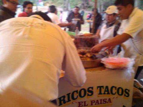 Se espera gran derrama económica en avistamiento de luciérnagas en Nanacamilpa imagen 2