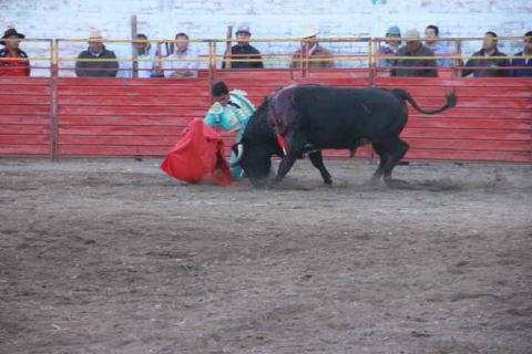 Fotos: JL Hertewing