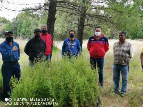El Gobierno Municipal se alista para la gran campaña de reforestación Teolocholco 2020 imagen 5