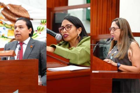 Presentan iniciativa a favor de personas con discapacidad en candidaturas electorales