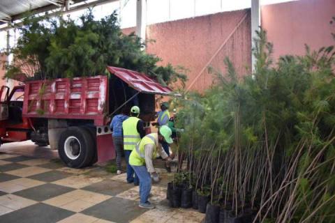 El Gobierno Municipal se alista para la gran campaña de reforestación Teolocholco 2020 imagen 9