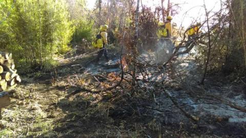 Combaten tlaxcaltecas enviados a Chile seis incendios forestales imagen 1