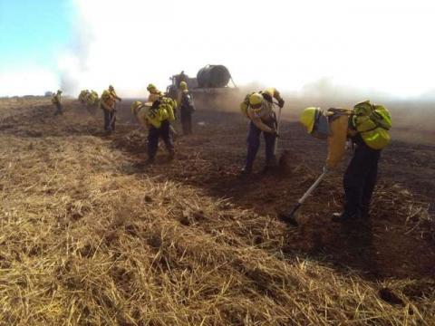 Combaten tlaxcaltecas enviados a Chile seis incendios forestales imagen 7