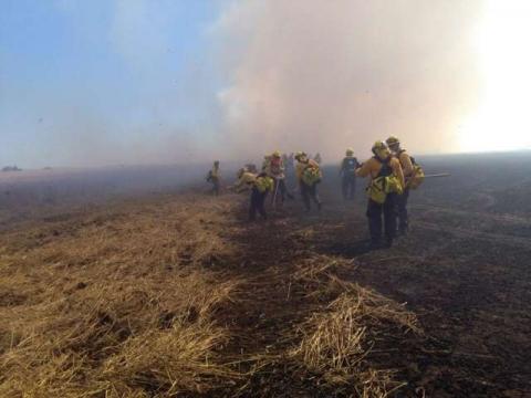 Combaten tlaxcaltecas enviados a Chile seis incendios forestales imagen 8