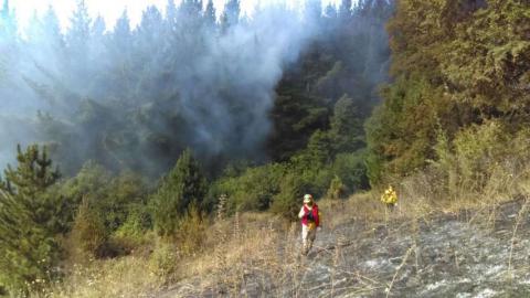 Combaten tlaxcaltecas enviados a Chile seis incendios forestales imagen 4