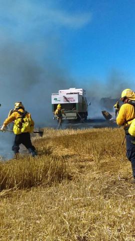 Combaten tlaxcaltecas enviados a Chile seis incendios forestales imagen 2
