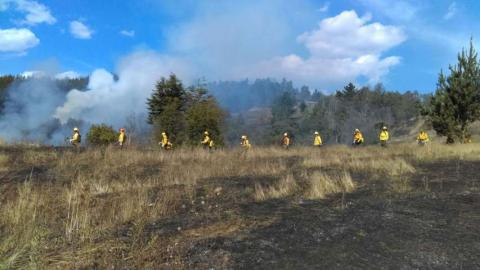 Combaten tlaxcaltecas enviados a Chile seis incendios forestales imagen 6