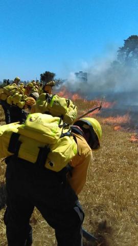 Combaten tlaxcaltecas enviados a Chile seis incendios forestales imagen 3
