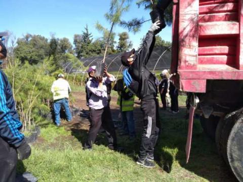 El Gobierno Municipal se alista para la gran campaña de reforestación Teolocholco 2020 imagen 8