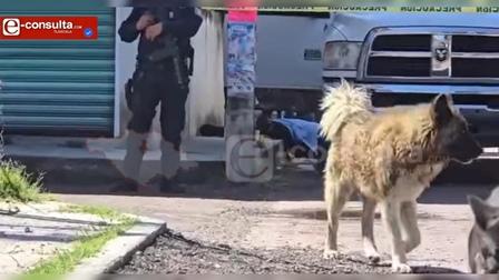 Aumentan fraudes en venta de autos por redes sociales en Tepetitla, Ixtacuixtla y Nativitas