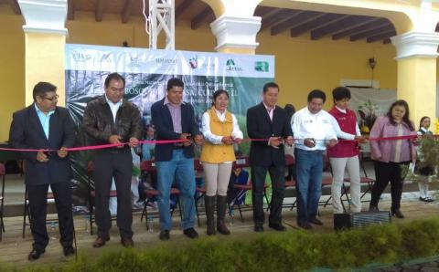 Llega semana Nacional de Divulgación de la Cultura Forestal a Nanacamilpa imagen 3