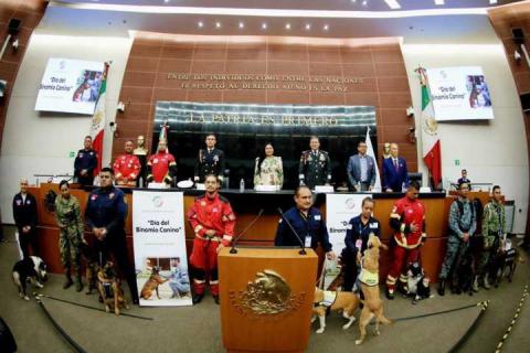 En el Senado, conmemoran Ana Lilia Rivera y Fuerzas Armadas el Día del Binomio Canino imagen 3