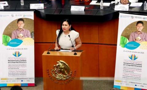 México es hoy referente mundial en materia de sana alimentación, afirma Ana Lilia Rivera en Foro Internacional imagen 3