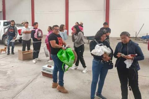 El próximo lunes inicia el ayuntamiento de la capital nueva campaña de esterilización gratuita para perros y gatos imagen 2