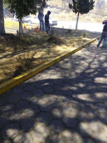 Mantiene Ayuntamiento limpieza en calles y barrancas imagen 2