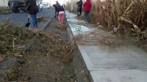 Ayuntamiento mejora la imagen urbana del municipio con faenas de limpieza imagen 3