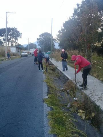 Ayuntamiento mejora la imagen urbana del municipio con faenas de limpieza imagen 2