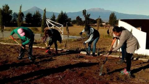 Ayuntamiento mejora la imagen urbana del municipio con faenas de limpieza imagen 4