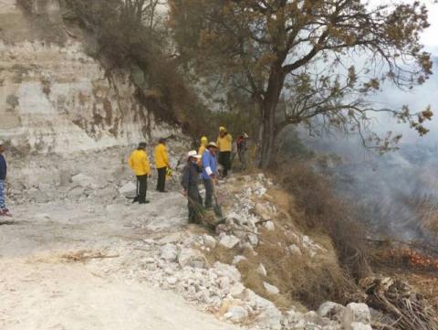 Protección Civil Hueyotlipan sofoca incendio en la comunidad del Cerro imagen 1