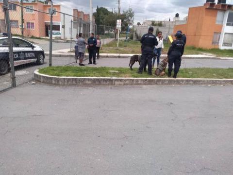 Policías municipales evitan pelea campal entre vecinos de Santa Mónica imagen 3