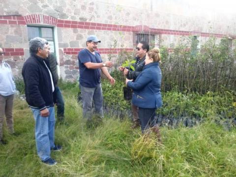 Carin Molina encabeza campaña de reforestación “A Todo Pulmón” imagen 3