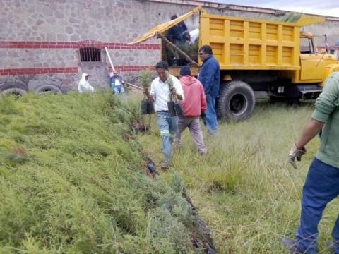 Carin Molina encabeza campaña de reforestación “A Todo Pulmón” imagen 4