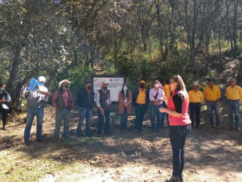 Tlaxco, único municipio en Tlaxcala que protege terrenos forestales imagen 4