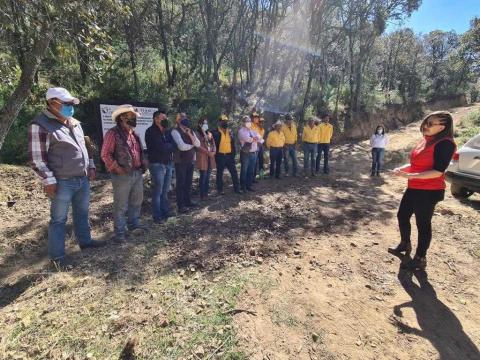 Tlaxco, único municipio en Tlaxcala que protege terrenos forestales imagen 1