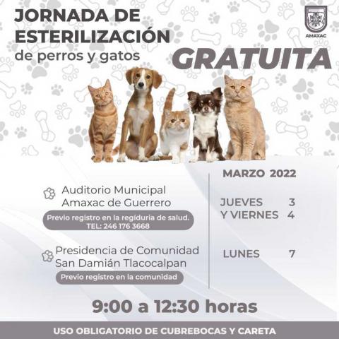 Amaxac efectuará campaña de esterilización de mascotas imagen 2