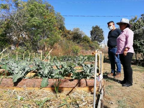 Invita Amaxac a impulsar la agricultura local