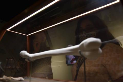 Disfrutaron tlaxcaltecas de la exposición “Escucha Profunda” en el MAT imagen 3