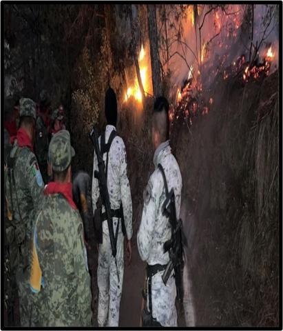 Autoridades combaten incendio forestal en Tlaxco imagen 1