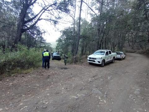 Autoridades combaten incendio forestal en Tlaxco imagen 4