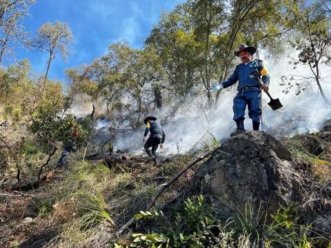 Incendio forestal en Tlaxco, controlado en un 85 por ciento: SMA imagen 1