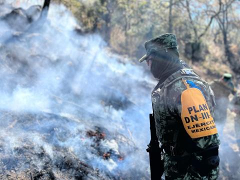 Incendio forestal en Tlaxco, controlado en un 85 por ciento: SMA imagen 2