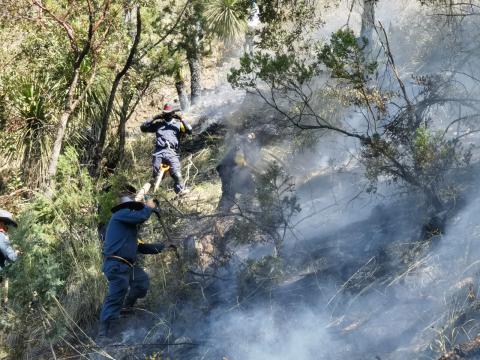 Incendio forestal en Tlaxco, controlado en un 85 por ciento: SMA imagen 3