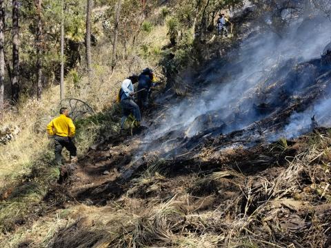 Incendio forestal en Tlaxco, controlado en un 85 por ciento: SMA imagen 4