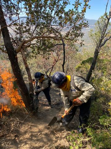 Incendio forestal en Tlaxco, controlado en un 85 por ciento: SMA imagen 5