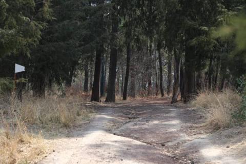Abandonan la "Ocotera" en Metepec imagen 3